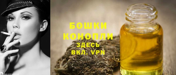 гашик Фёдоровский