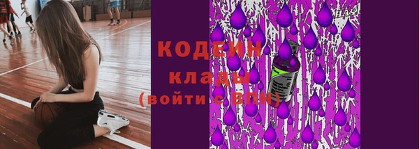 шишки Абаза